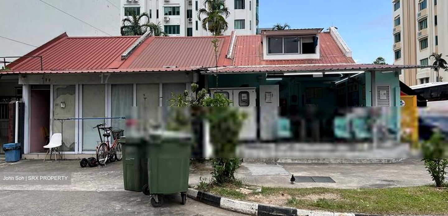 Lorong 12 Geylang (D14), Shop House #448125841